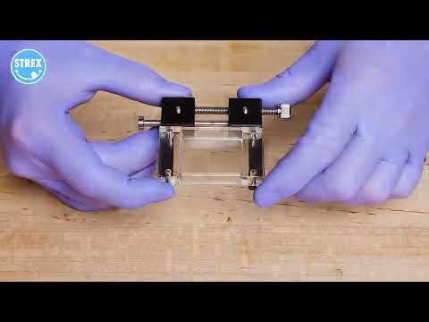Cell Streching Systems