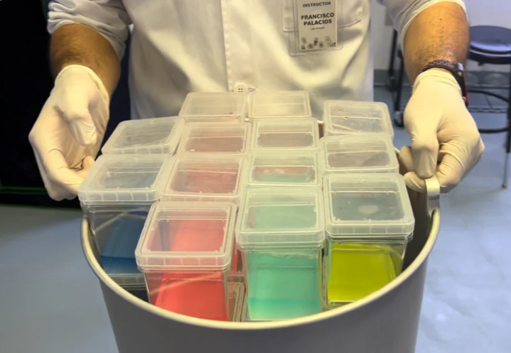 Plant Cell Culture Container