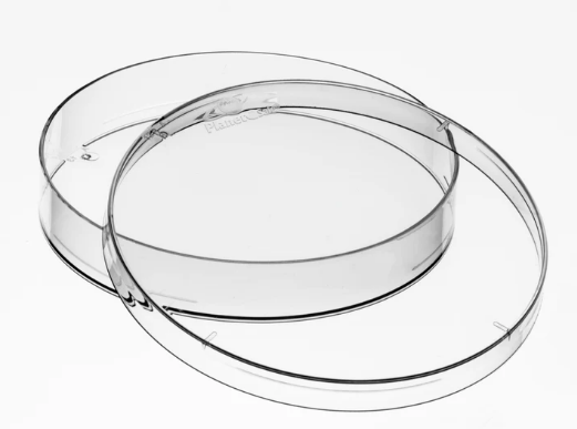 Plant Cell Culture Dishes