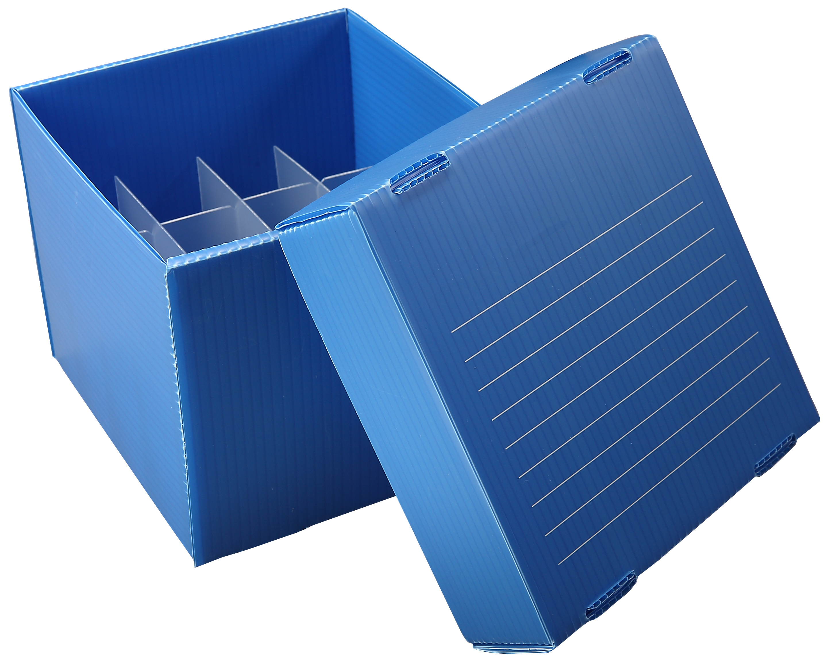 50 mL FREEZER BOXES, Blue
