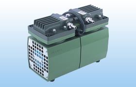 Diaphragm-type dry vacuum pump