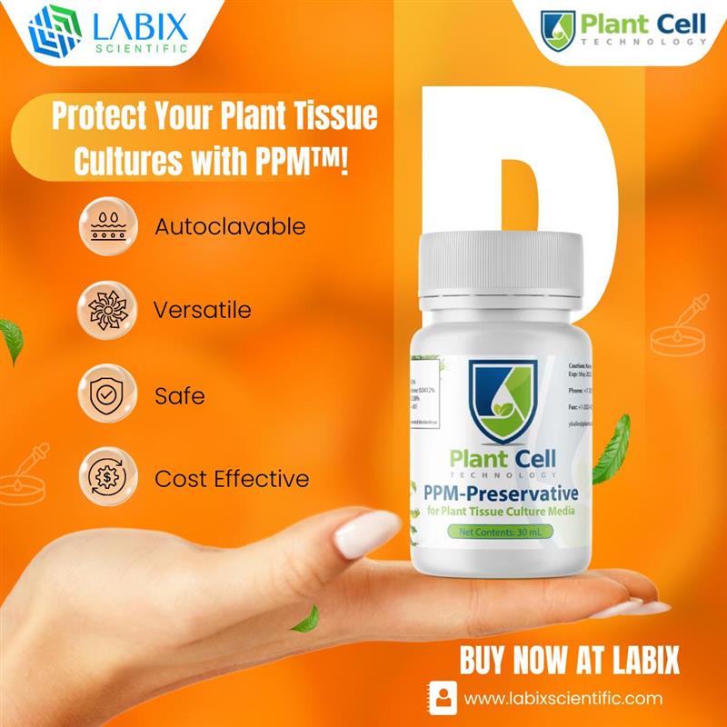 Contamination nightmares ruining your plant tissue cultures?